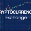 Dive Into Cryptocurrency Exchange Software Development