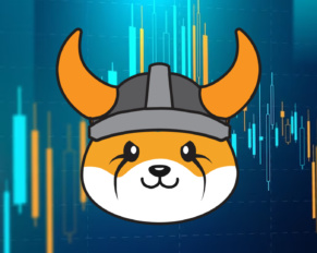 FLOKI INU Coin Detail info and prediction