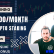 Top 4 Staking Platforms in 2024: Earn up to $180,000/Month