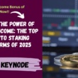 Unlock the Power of Passive Income: The Top 4 Crypto Staking Platforms of 2025