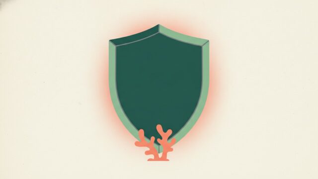 ¿Es segura la cripto? Una respuesta honesta